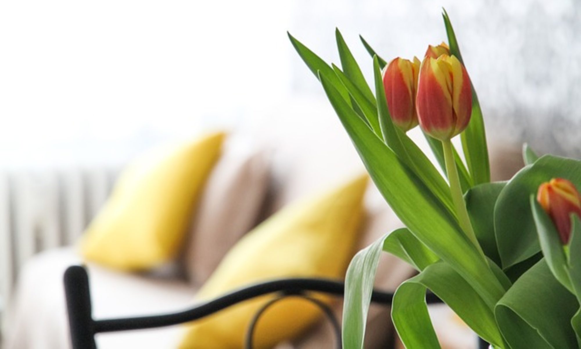 風水美宅〜運気を上げる風水インテリア〜